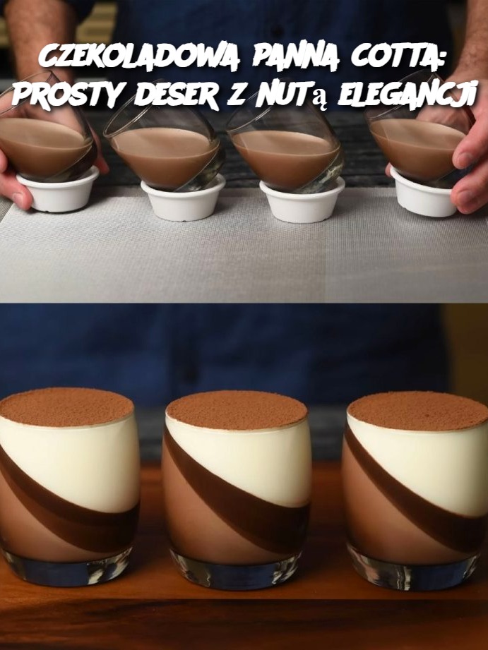 Czekoladowa panna cotta: Prosty deser z nutą elegancji