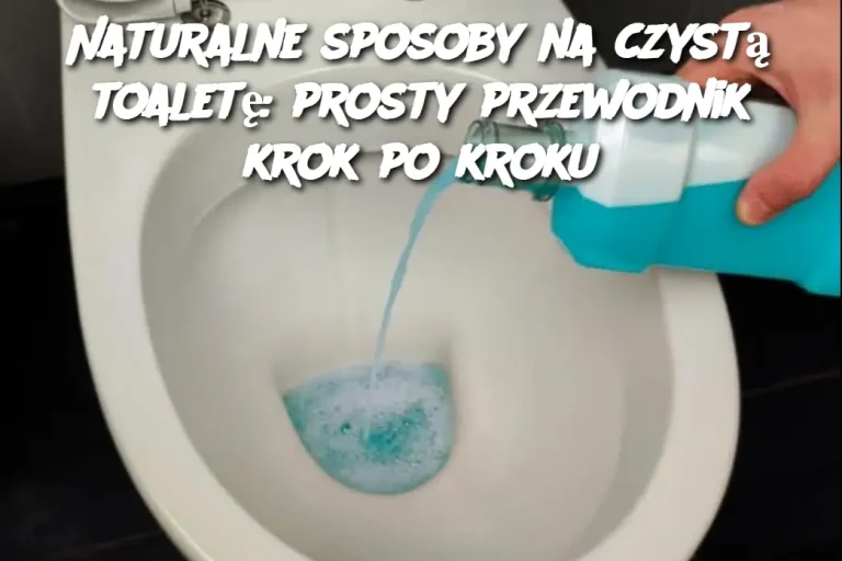 Naturalne sposoby na czystą toaletę: prosty przewodnik krok po kroku