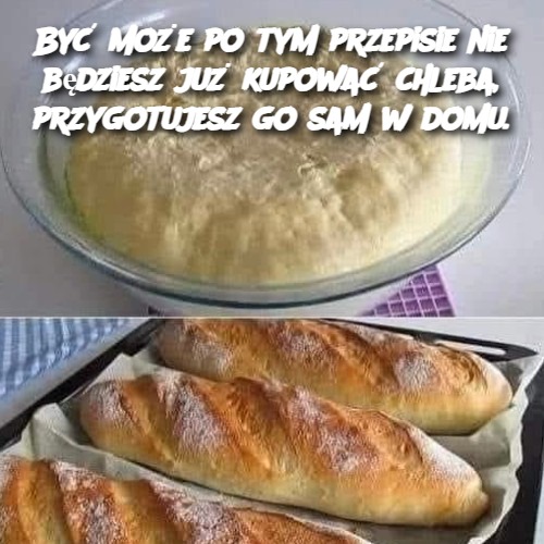 Być może po tym przepisie nie będziesz już kupować chleba, przygotujesz go sam w domu.