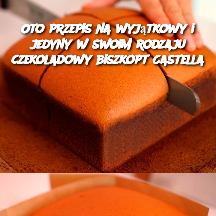 Oto przepis na wyjątkowy i jedyny w swoim rodzaju czekoladowy biszkopt Castella