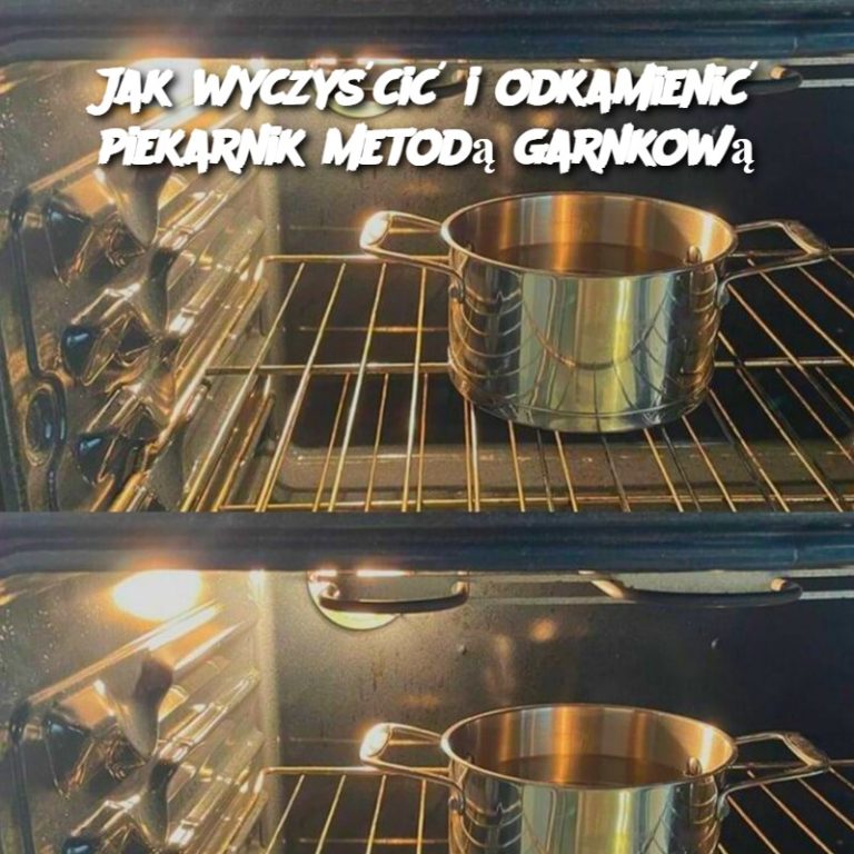 Jak wyczyścić i odkamienić piekarnik metodą garnkową