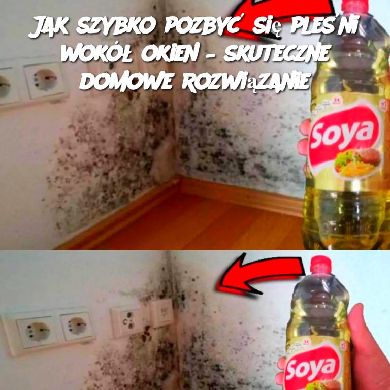 Jak szybko pozbyć się pleśni wokół okien – skuteczne domowe rozwiązanie”