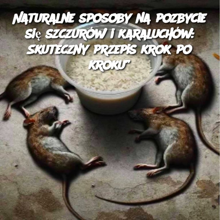 Naturalne sposoby na pozbycie się szczurów i karaluchów: Skuteczny przepis krok po kroku”