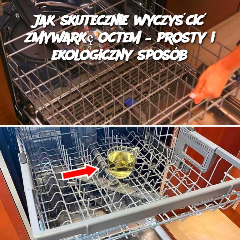 Jak skutecznie wyczyścić zmywarkę octem – prosty i ekologiczny sposób