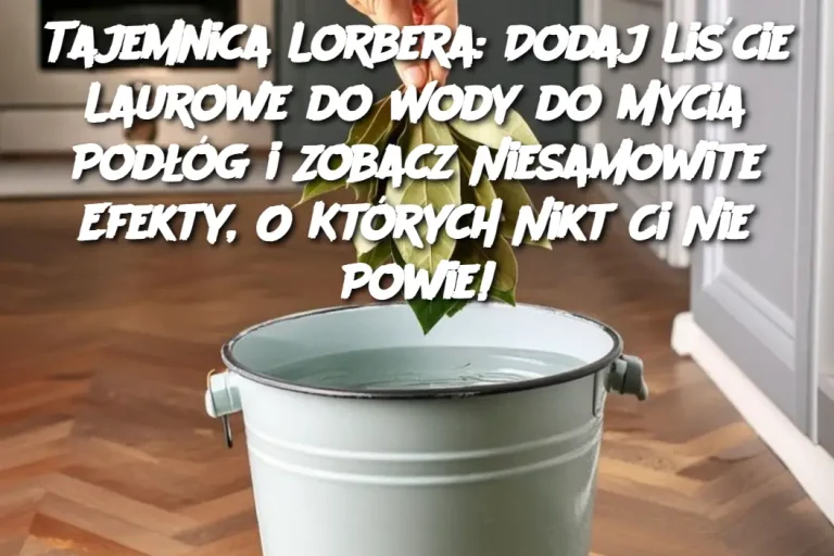 Tajemnica Lorbera: Dodaj Liście Laurowe do Wody do Mycia Podłóg i Zobacz Niesamowite Efekty, O Których Nikt Ci Nie Powie!