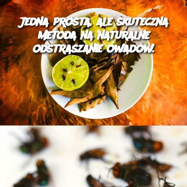 Jedna prosta, ale skuteczna metoda na naturalne odstraszanie owadów.