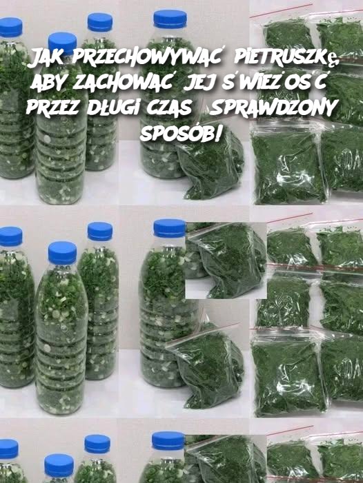 Jak przechowywać pietruszkę, aby zachować jej świeżość przez długi czas? Sprawdzony sposób!