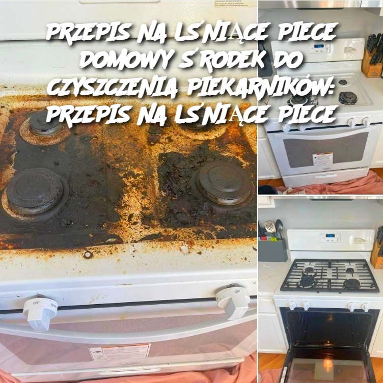 PRZEPIS NA LŚNIĄCE PIECE DOMOWY ŚRODEK DO CZYSZCZENIA PIEKARNIKÓW: PRZEPIS NA LŚNIĄCE PIECE