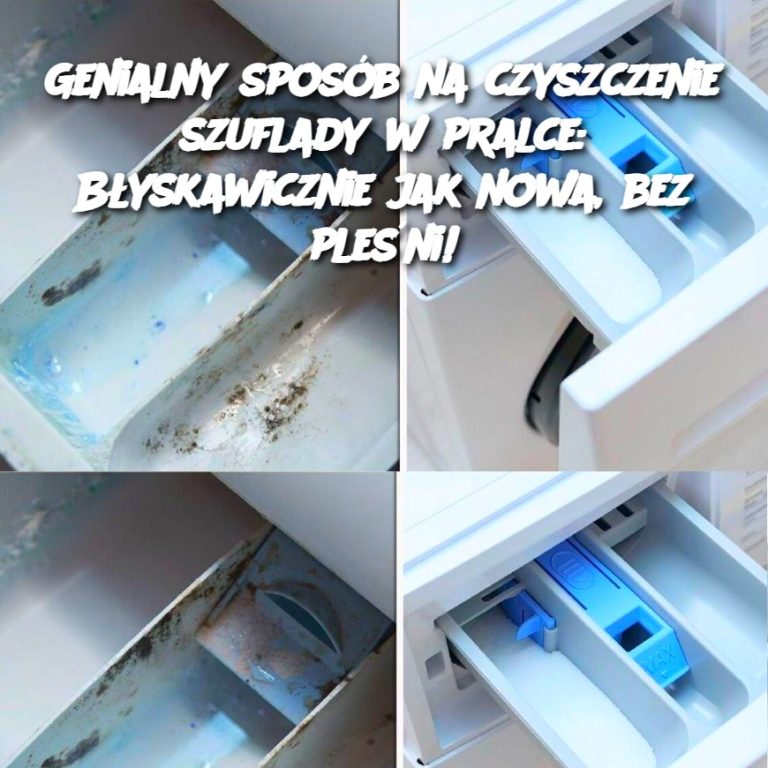 Genialny sposób na czyszczenie szuflady w pralce: Błyskawicznie jak nowa, bez pleśni!