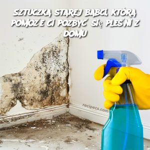 Sztuczka starej babci, która pomoże Ci pozbyć się pleśni z domu