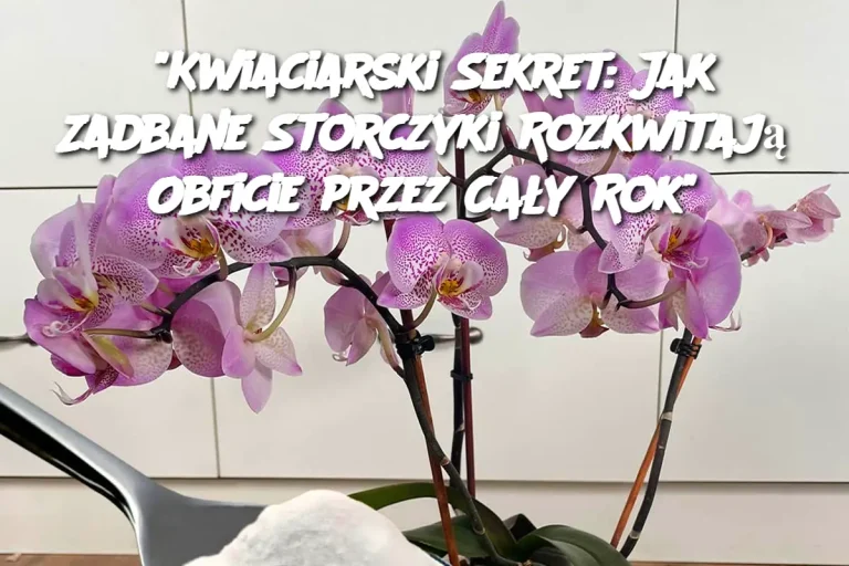 “Kwiaciarski Sekret: Jak Zadbane Storczyki Rozkwitają Obficie przez Cały Rok”