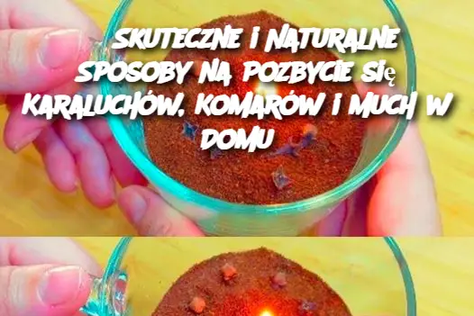 3 Skuteczne i Naturalne Sposoby na Pozbycie się Karaluchów, Komarów i Much w Domu