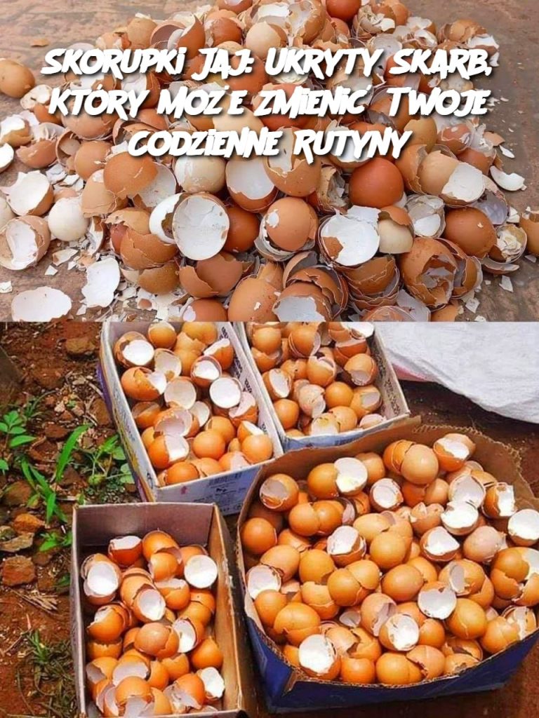 Skorupki Jaj: Ukryty Skarb, Który Może Zmienić Twoje Codzienne Rutyny