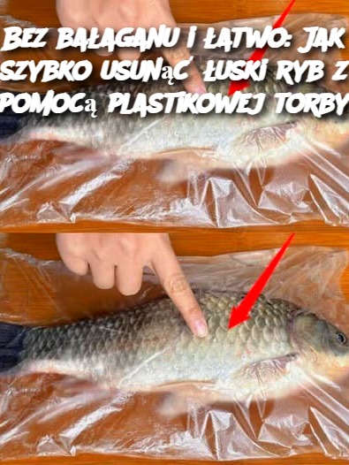 Bez bałaganu i łatwo: Jak szybko usunąć łuski ryb z pomocą plastikowej torby