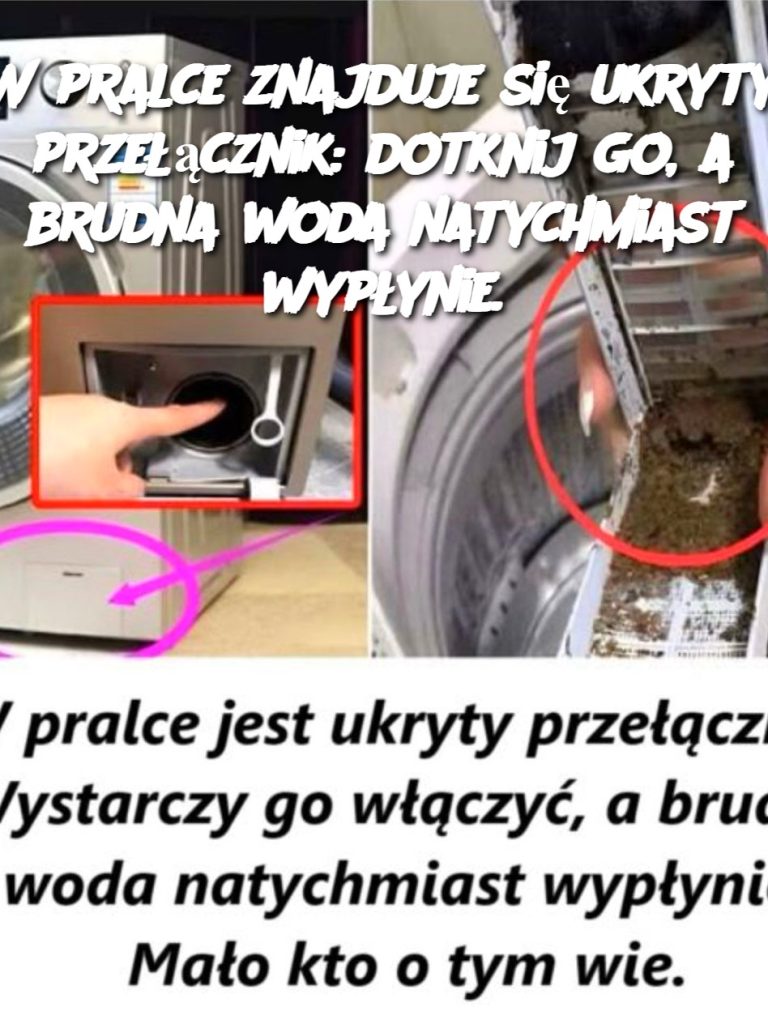 W pralce znajduje się ukryty przełącznik: dotknij go, a brudna woda natychmiast wypłynie.