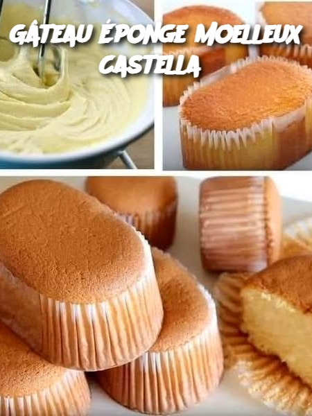 Gâteau Éponge Moelleux Castella 