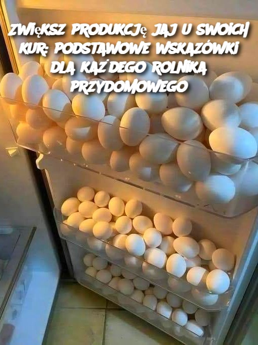 Zwiększ produkcję jaj u swoich kur: podstawowe wskazówki dla każdego rolnika przydomowego