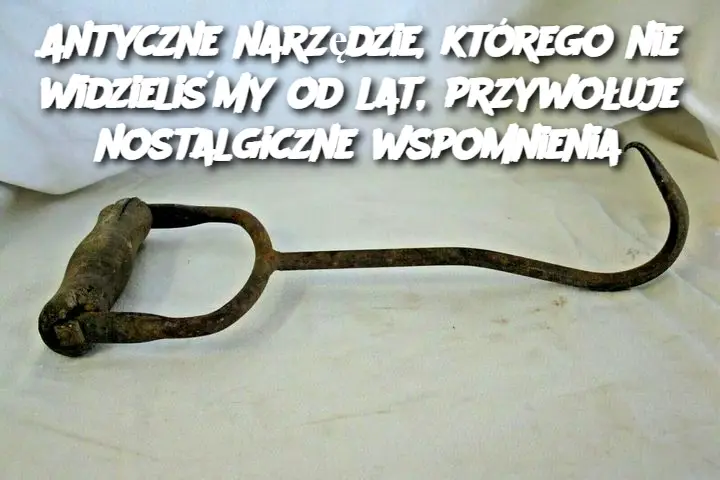 Antyczne narzędzie, którego nie widzieliśmy od lat, przywołuje nostalgiczne wspomnienia