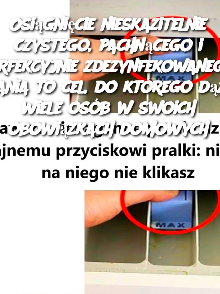 Osiągnięcie nieskazitelnie czystego, pachnącego i perfekcyjnie zdezynfekowanego prania to cel, do którego dąży wiele osób w swoich obowiązkach domowych.