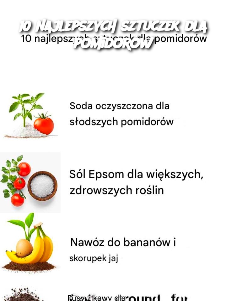 10 najlepszych sztuczek dla pomidorów