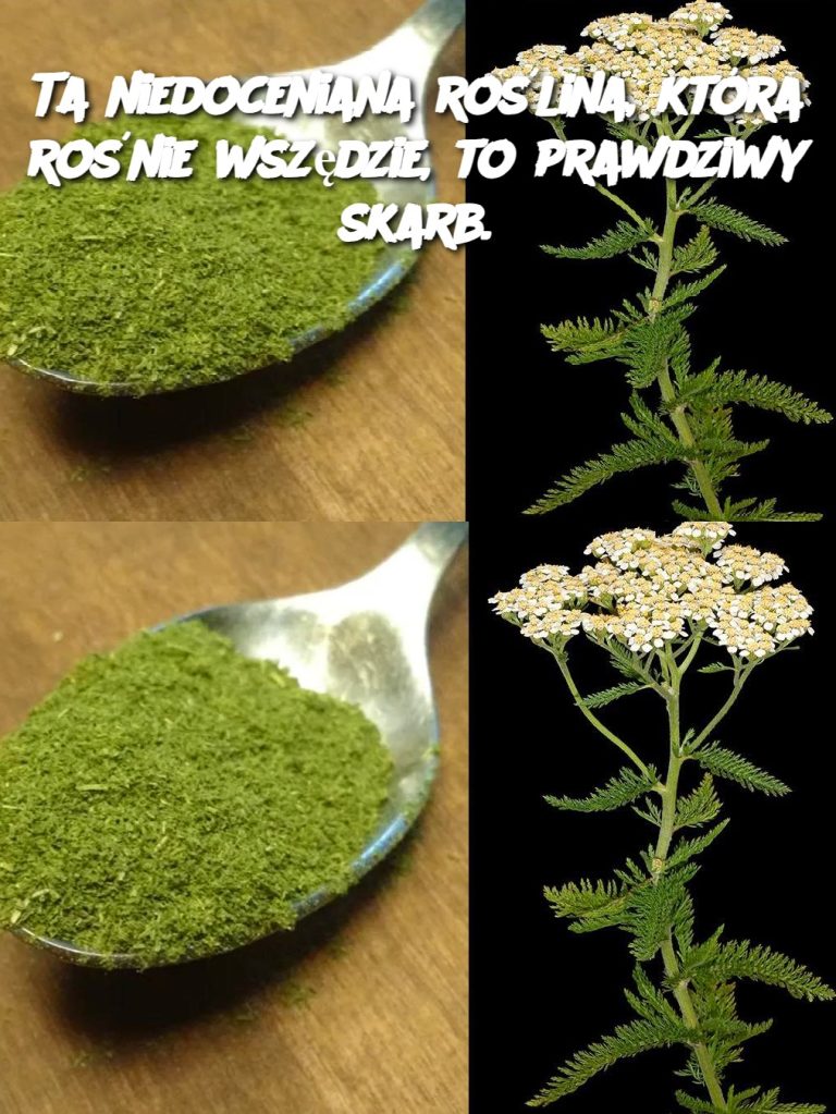 Ta niedoceniana roślina, która rośnie wszędzie, to prawdziwy skarb.