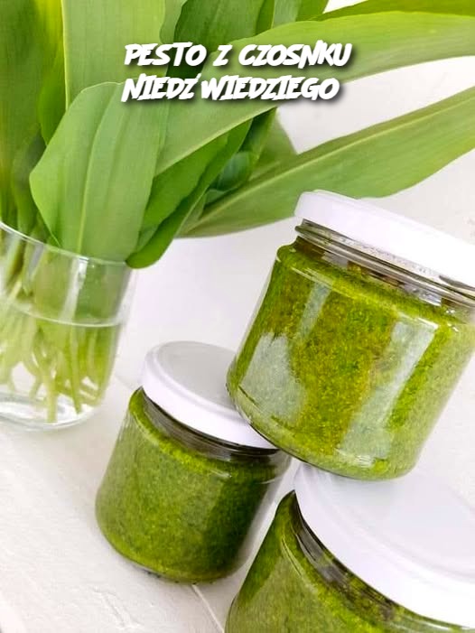 PESTO Z CZOSNKU NIEDŹWIEDZIEGO