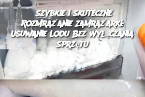 Szybkie i Skuteczne Rozmrażanie Zamrażarki: Usuwanie Lodu Bez Wyłączania Sprzętu