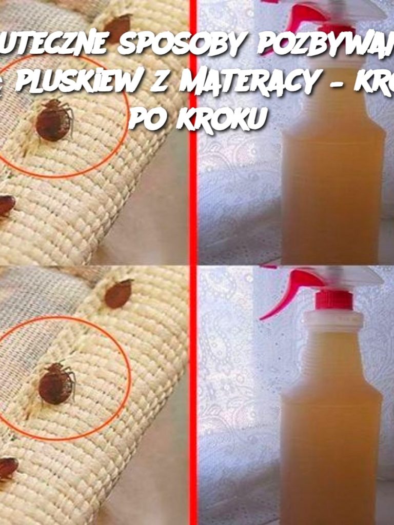 Skuteczne sposoby pozbywania się pluskiew z materacy – krok po kroku