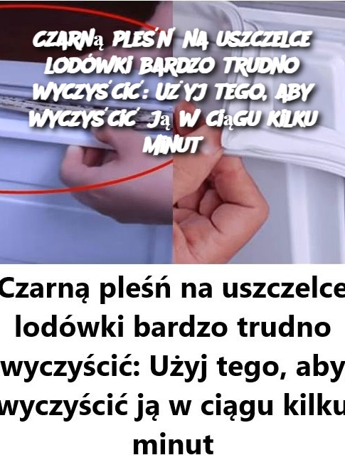 Czarną pleśń na uszczelce lodówki bardzo trudno wyczyścić: Użyj tego, aby wyczyścić ją w ciągu kilku minut