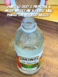 Zmieszaj ocet z pieprzem, a nigdy więcej nie będziesz miał psiego lub kociego moczu?