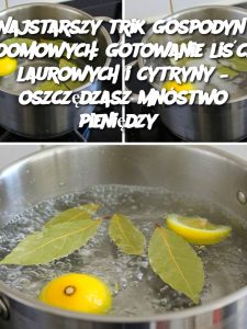Najstarszy trik gospodyń domowych: gotowanie liści laurowych i cytryny – oszczędzasz mnóstwo pieniędzy?