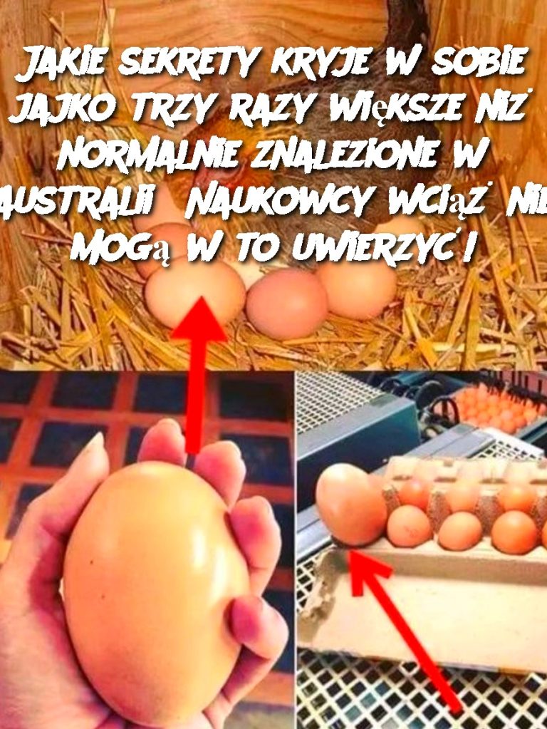 Jakie sekrety kryje w sobie jajko trzy razy większe niż normalnie znalezione w Australii? Naukowcy wciąż nie mogą w to uwierzyć!