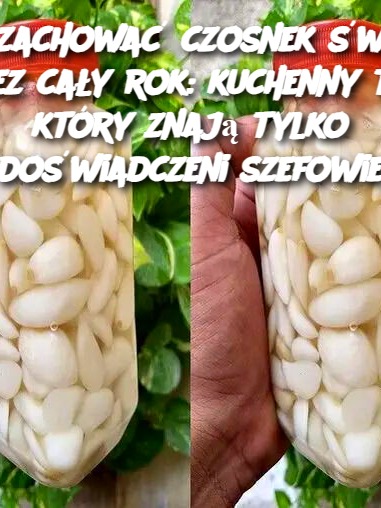 Jak zachować czosnek świeży przez cały rok: kuchenny trik, który znają tylko doświadczeni szefowie