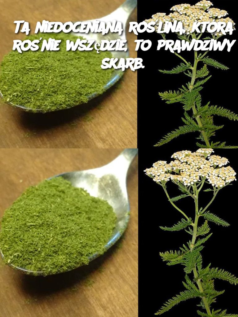 Ta niedoceniana roślina, która rośnie wszędzie, to prawdziwy skarb.
