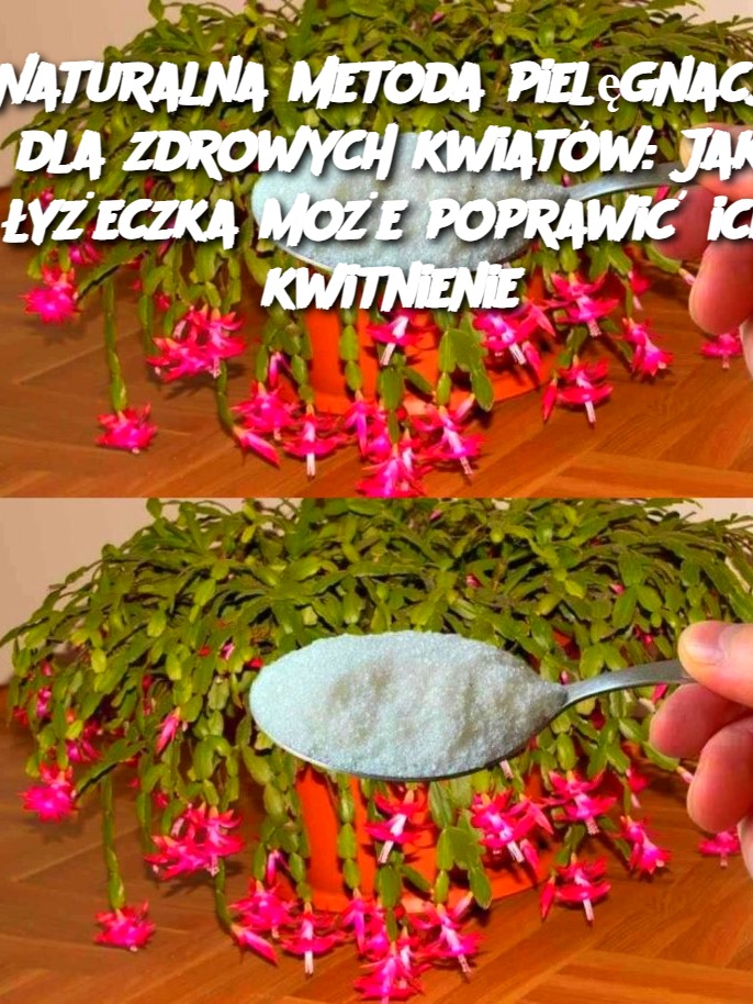Naturalna metoda pielęgnacji dla zdrowych kwiatów: Jak łyżeczka może poprawić ich kwitnienie