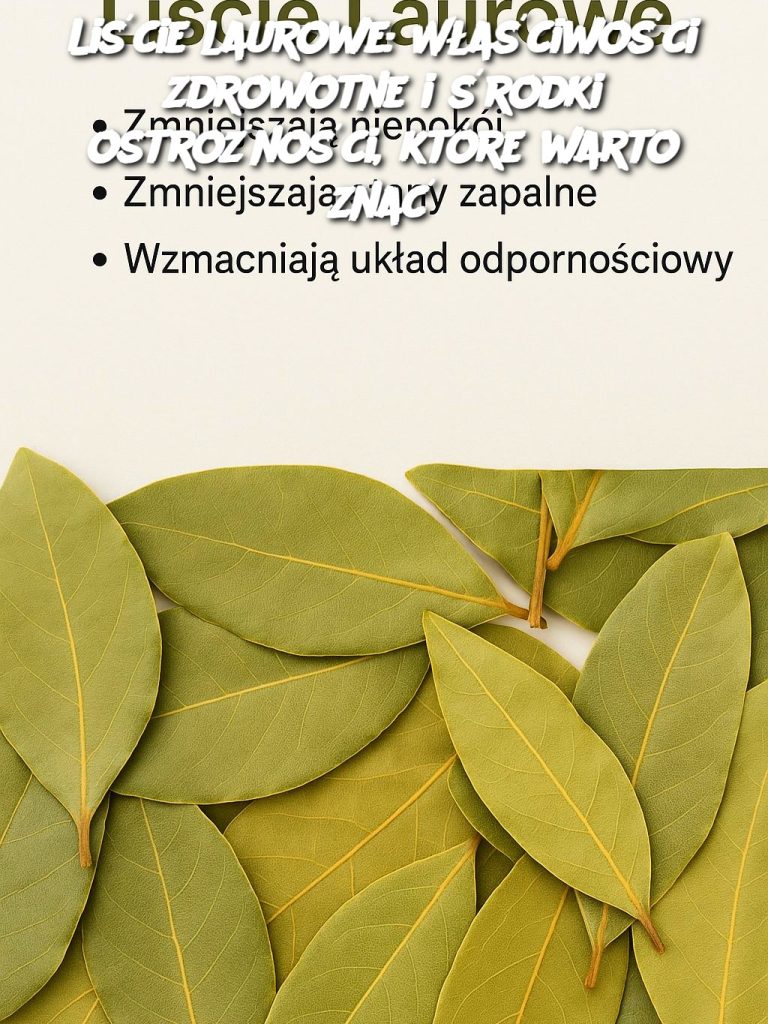 Liście laurowe: Właściwości zdrowotne i środki ostrożności, które warto znać