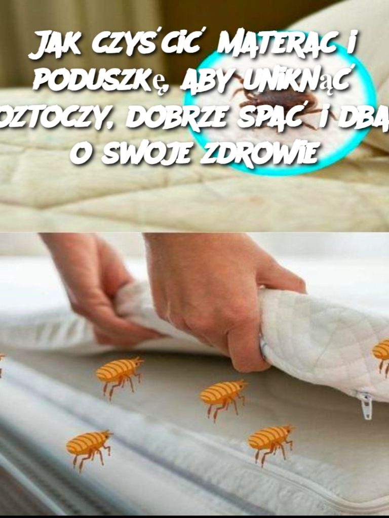 Jak czyścić materac i poduszkę, aby uniknąć roztoczy, dobrze spać i dbać o swoje zdrowie