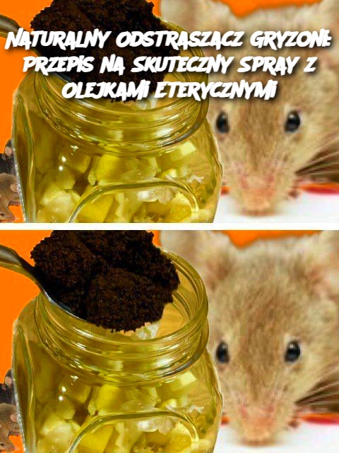 Naturalny Odstraszacz Gryzoni: Przepis na Skuteczny Spray z Olejkami Eterycznymi