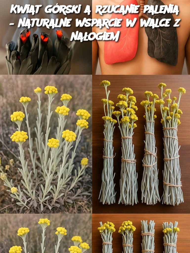 Kwiat górski a rzucanie palenia – naturalne wsparcie w walce z nałogiem