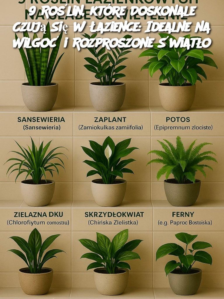 9 Roślin, które Doskonale Czują Się w Łazience: Idealne na Wilgoć i Rozproszone Światło