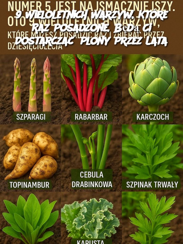 9 Wieloletnich Warzyw, Które Raz Posadzone, Będą Ci Dostarczać Plony Przez Lata