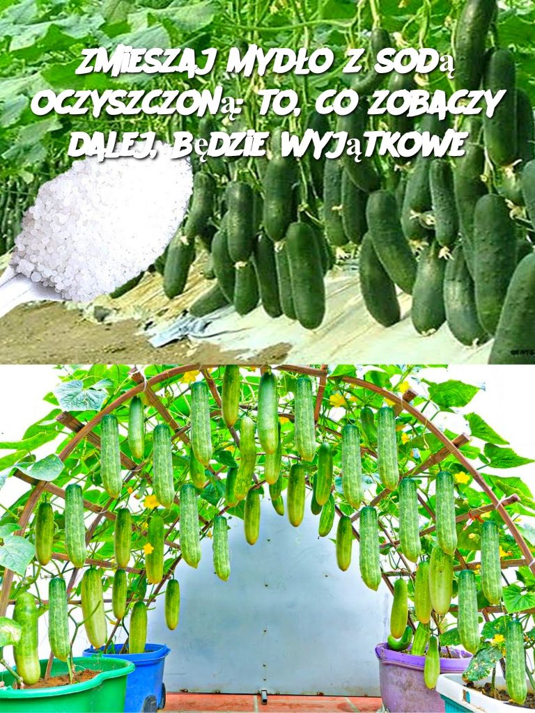 Zmieszaj mydło z sodą oczyszczoną: to, co zobaczy dalej, będzie wyjątkowe
