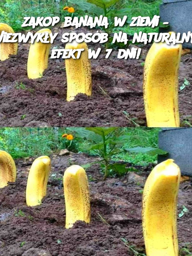 Zakop banana w ziemi – Niezwykły sposób na naturalny efekt w 7 dni!