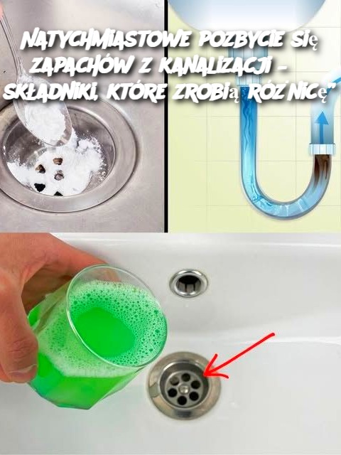 Natychmiastowe pozbycie się zapachów z kanalizacji – 3 składniki, które zrobią różnicę”