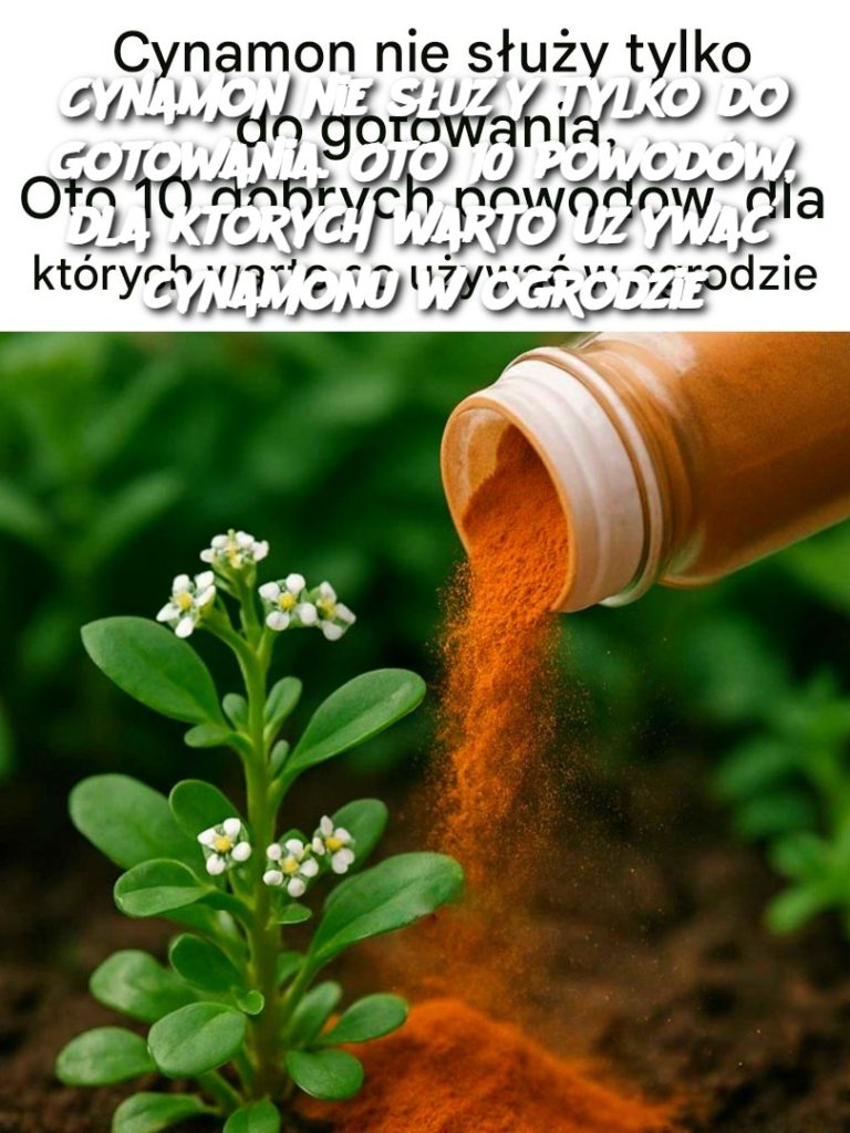Cynamon nie służy tylko do gotowania. Oto 10 powodów, dla których warto używać cynamonu w ogrodzie