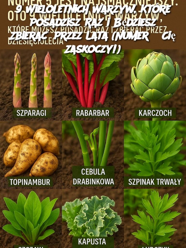 9 Wieloletnich Warzyw, Które Posadzisz Raz i Będziesz Zbierać Przez Lata (Numer 5 Cię Zaskoczy!)