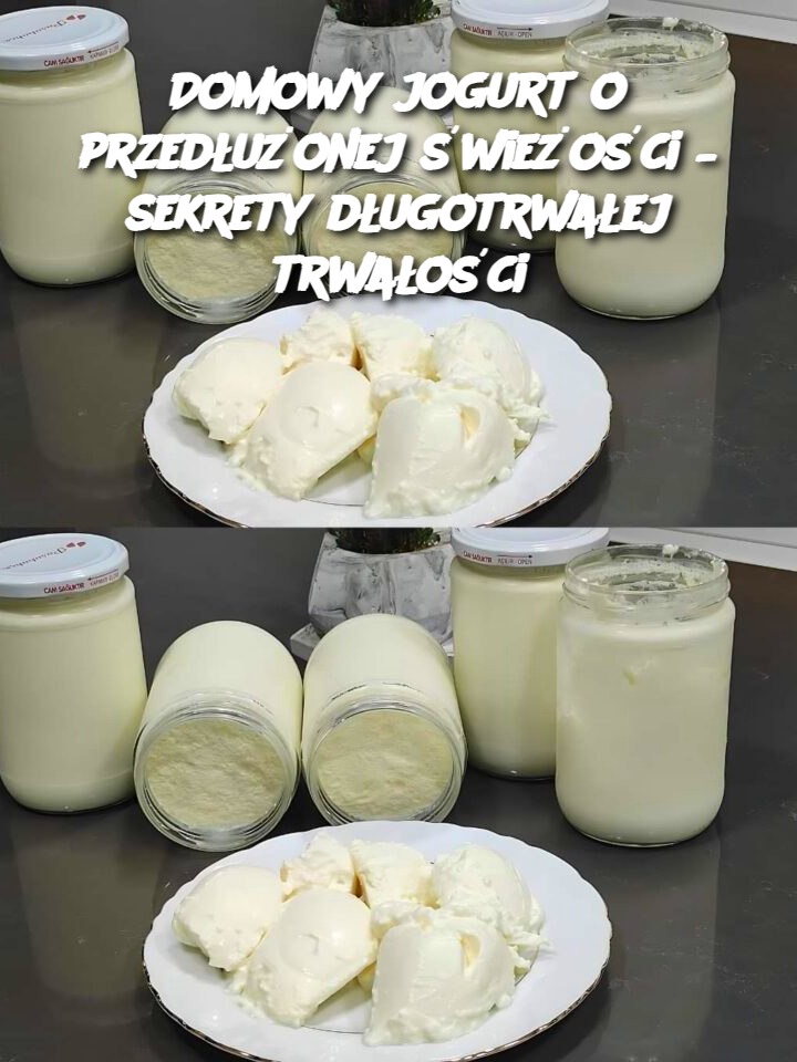 Domowy jogurt o przedłużonej świeżości – sekrety długotrwałej trwałości