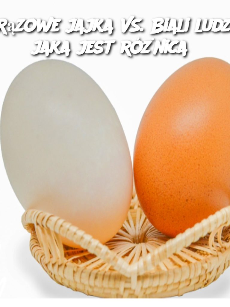 Brązowe jajka VS. Biali ludzie: jaka jest różnica?