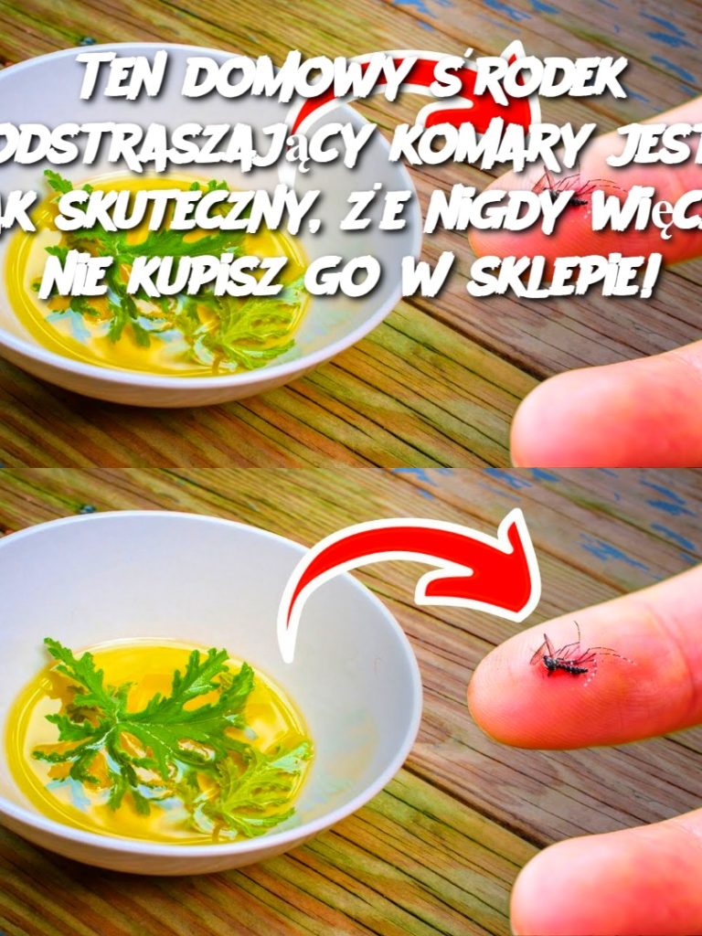 Ten domowy środek odstraszający komary jest tak skuteczny, że nigdy więcej nie kupisz go w sklepie!
