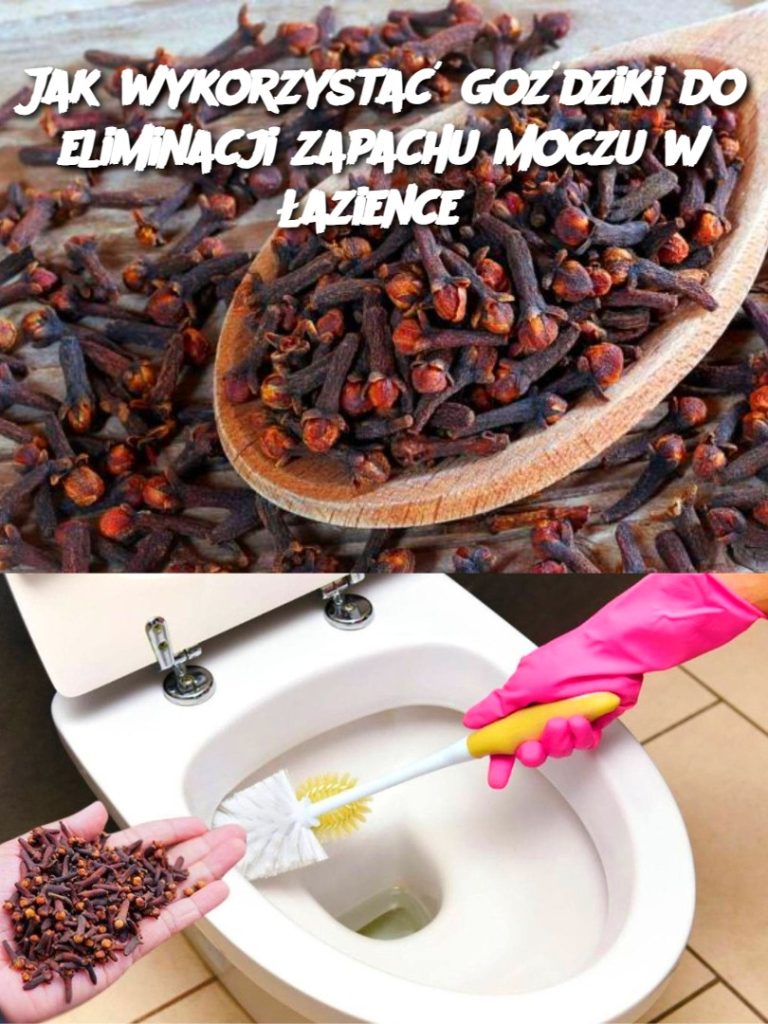 Jak wykorzystać goździki do eliminacji zapachu moczu w łazience?